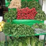 کشت سبزیجات آلوده در تهران نداریم کشت سبزیجات آلوده در تهران نداریم