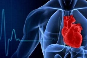 ارتباط سروصدا با افزایش ریسک حمله قلبی ارتباط سروصدا با افزایش ریسک حمله قلبی