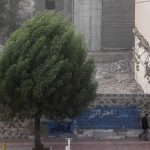 وزش باد شدید و کاهش آلودگی در تهران وزش باد شدید و کاهش آلودگی در تهران