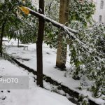 لزوم آمادگی مدیریت شهری در برابر برف و سرما لزوم آمادگی مدیریت شهری در برابر برف و سرما